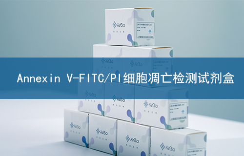 Annexin V-FITC/PI细胞凋亡检测试剂盒
