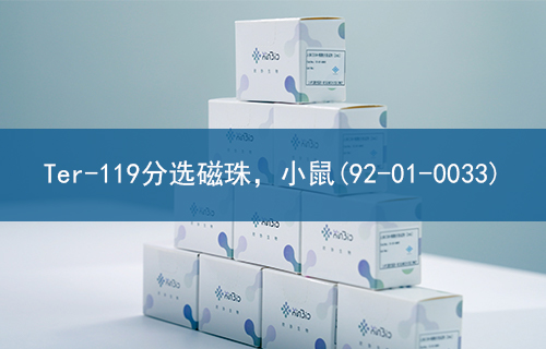 Ter-119分选磁珠，小鼠(92-01-0033)