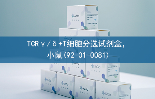 TCRγ/δ+T细胞分选试剂盒，小鼠(92-01-0081)