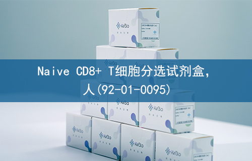 Naive CD8+ T细胞分选试剂盒，人(92-01-0095)