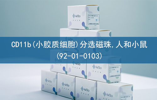 CD11b(小胶质细胞)分选磁珠,人和小鼠(92-01-0103)