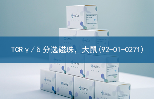 TCRγ/δ分选磁珠，大鼠(92-01-0271)