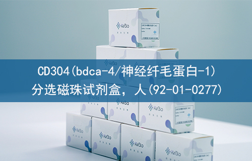 CD304(bdca-4/神经纤毛蛋白-1)分选磁珠试剂盒，人(92-01-0277)
