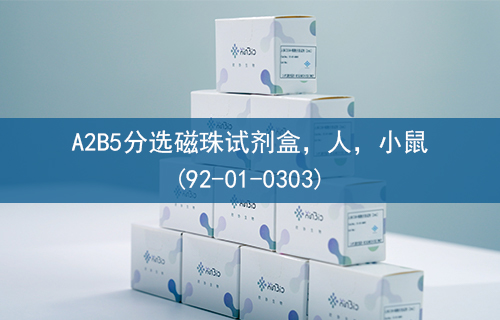 A2B5分选磁珠试剂盒，人，小鼠(92-01-0303)