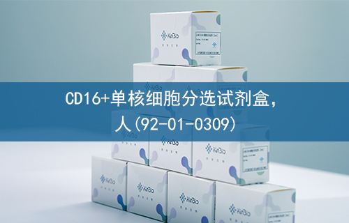 CD16+单核细胞分选试剂盒，人(92-01-0309)