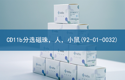 CD11b分选磁珠，人，小鼠(92-01-0032)