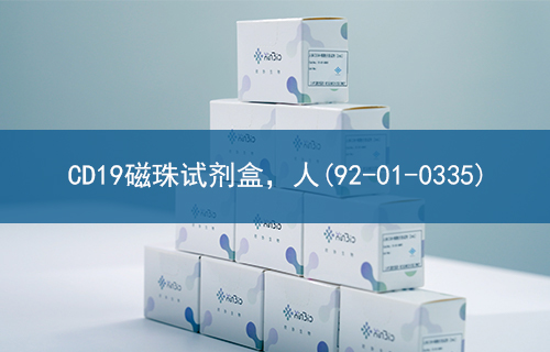 CD19磁珠试剂盒，人(92-01-0335)