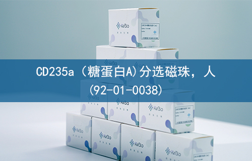 CD235a（糖蛋白A)分选磁珠，人(92-01-0038)