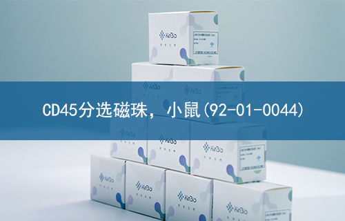 CD45分选磁珠，小鼠(92-01-0044)