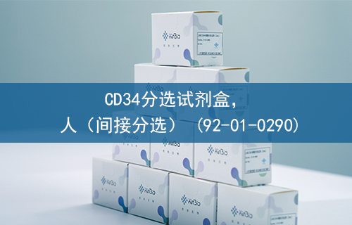 CD34分选试剂盒， 人（间接分选） (92-01-0290)