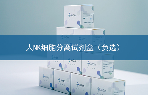 人NK细胞分离试剂盒（负选）