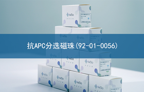 抗APC分选磁珠(92-01-0056)