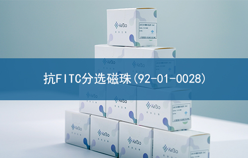抗FITC分选磁珠(92-01-0028)