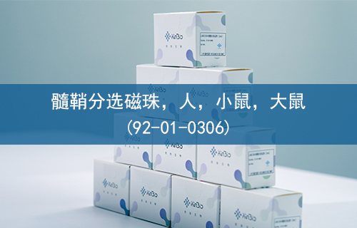 髓鞘分选磁珠，人，小鼠，大鼠(92-01-0306)