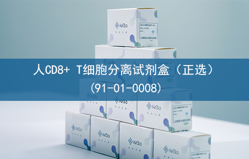 人CD8+ T细胞分离试剂盒（正选）(91-01-0008)